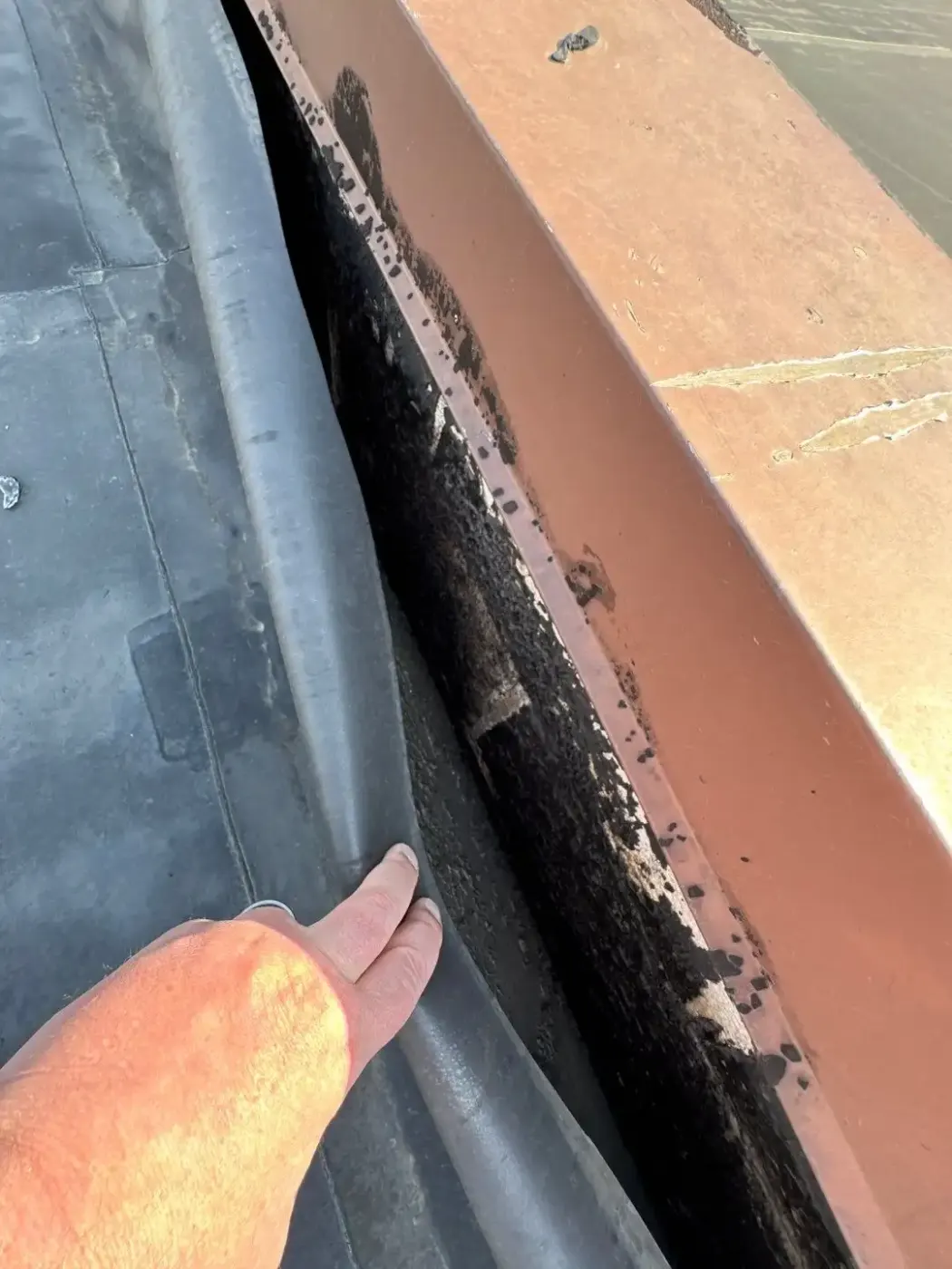 Manufacturer-certified roof installation in New Palestine